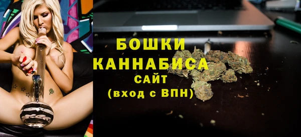 шишки Аркадак
