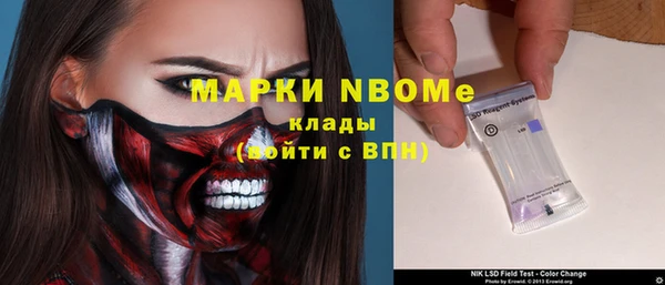 твердый Арсеньев