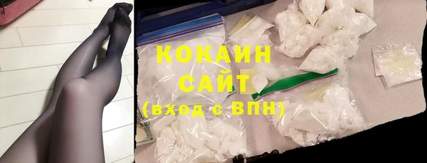твердый Арсеньев