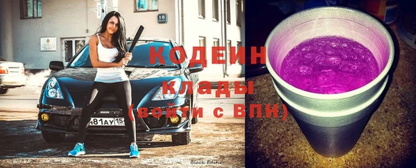 шишки Аркадак