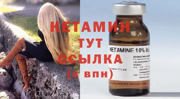 шишки Аркадак