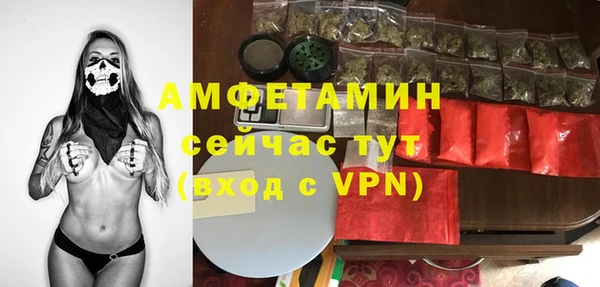 твердый Арсеньев